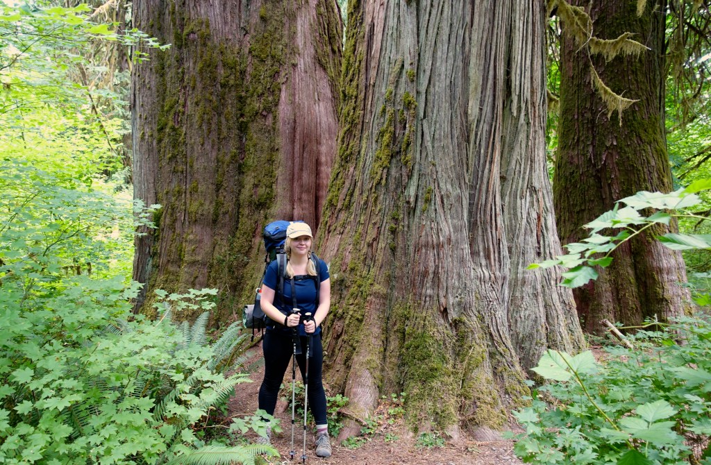 Seaerra hiking through giant spruce trees - reaping the rewards of her hard work!