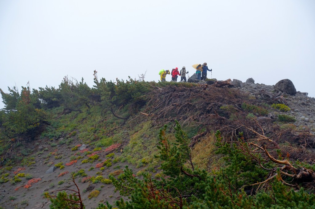 Coming across Gnarl Ridge
