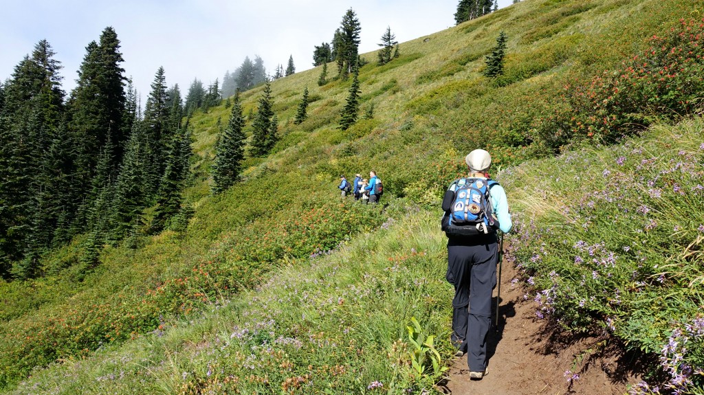 Hiking through beautiful meadows and wildflower covered slopes.