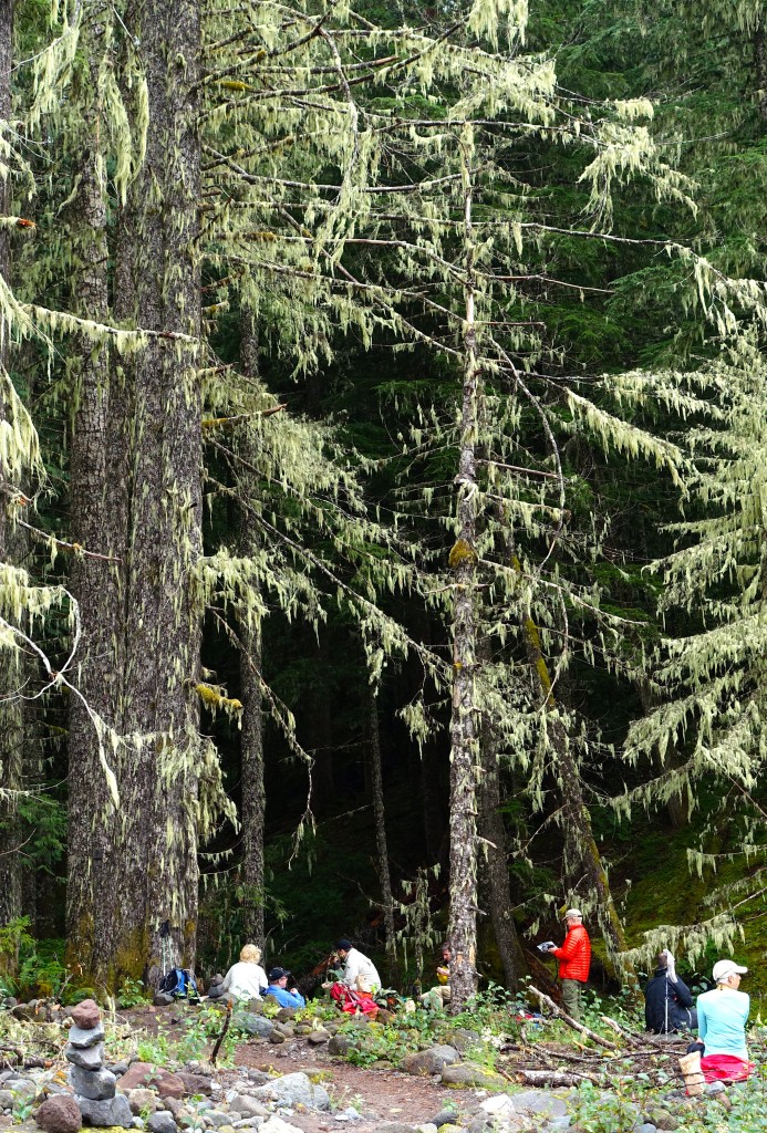 A beautiful spot for lunch along the Sandy River.
