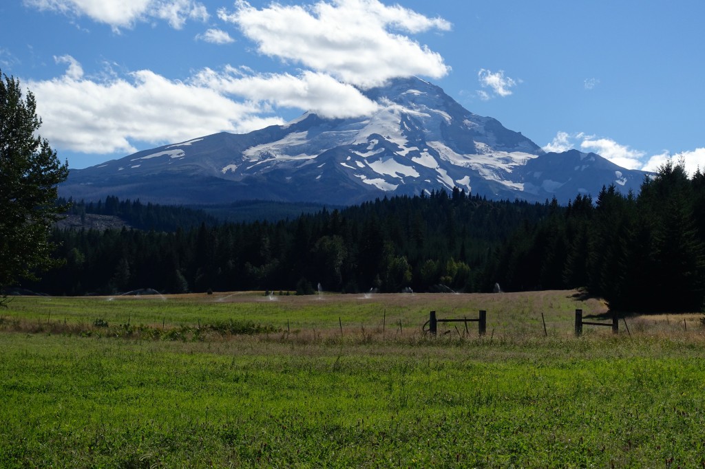 One last view of the mountain on the drive back to the Mazama's lodge. 
