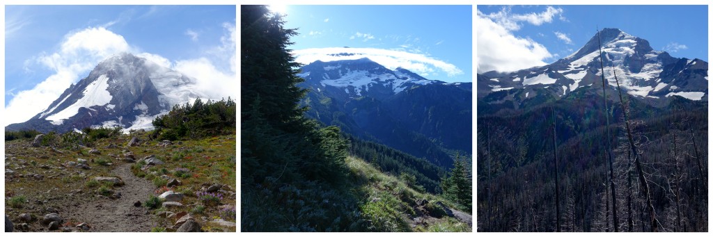 round the mountain faces of mt hood