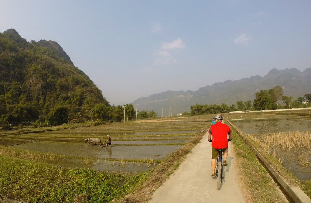 Glenn riding along the roads through the rice fields