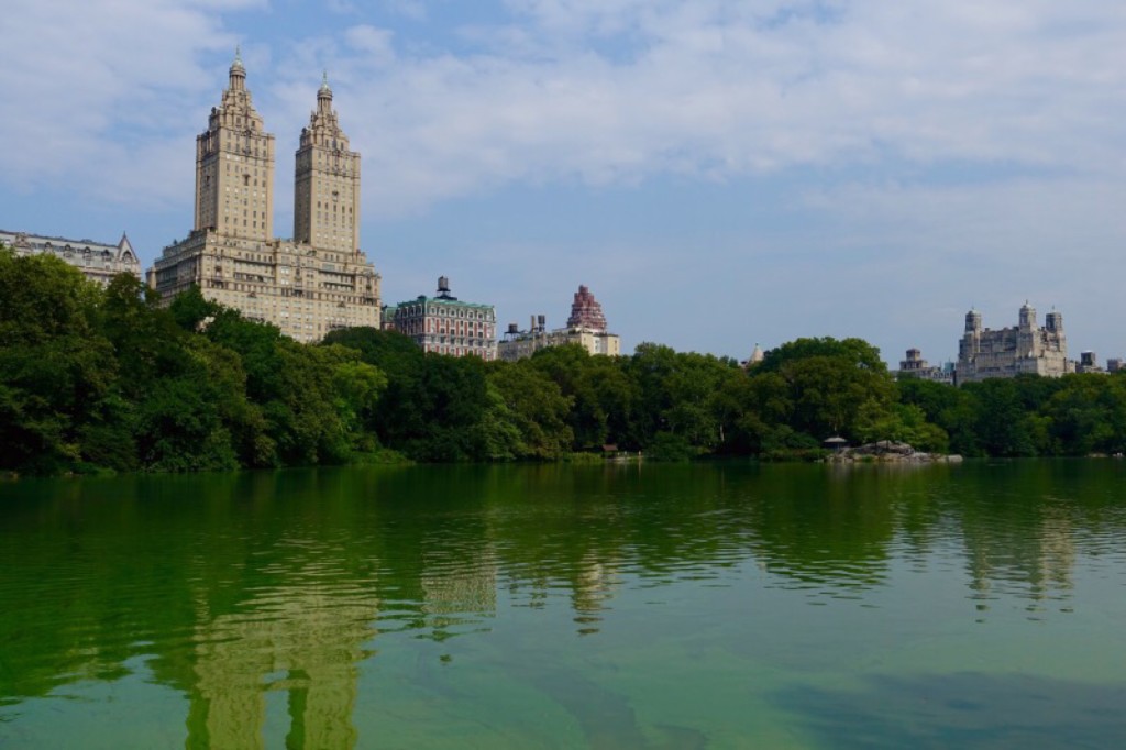 San Remo Apartments as seen from The Lake in Central Park. 