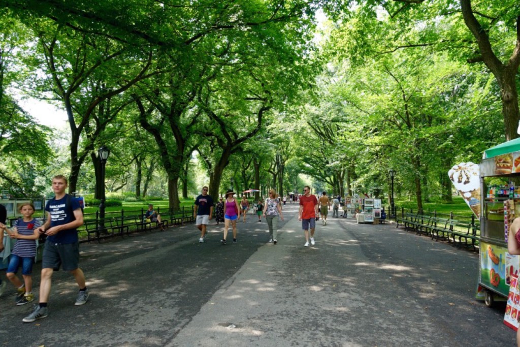 View of New York Central Park