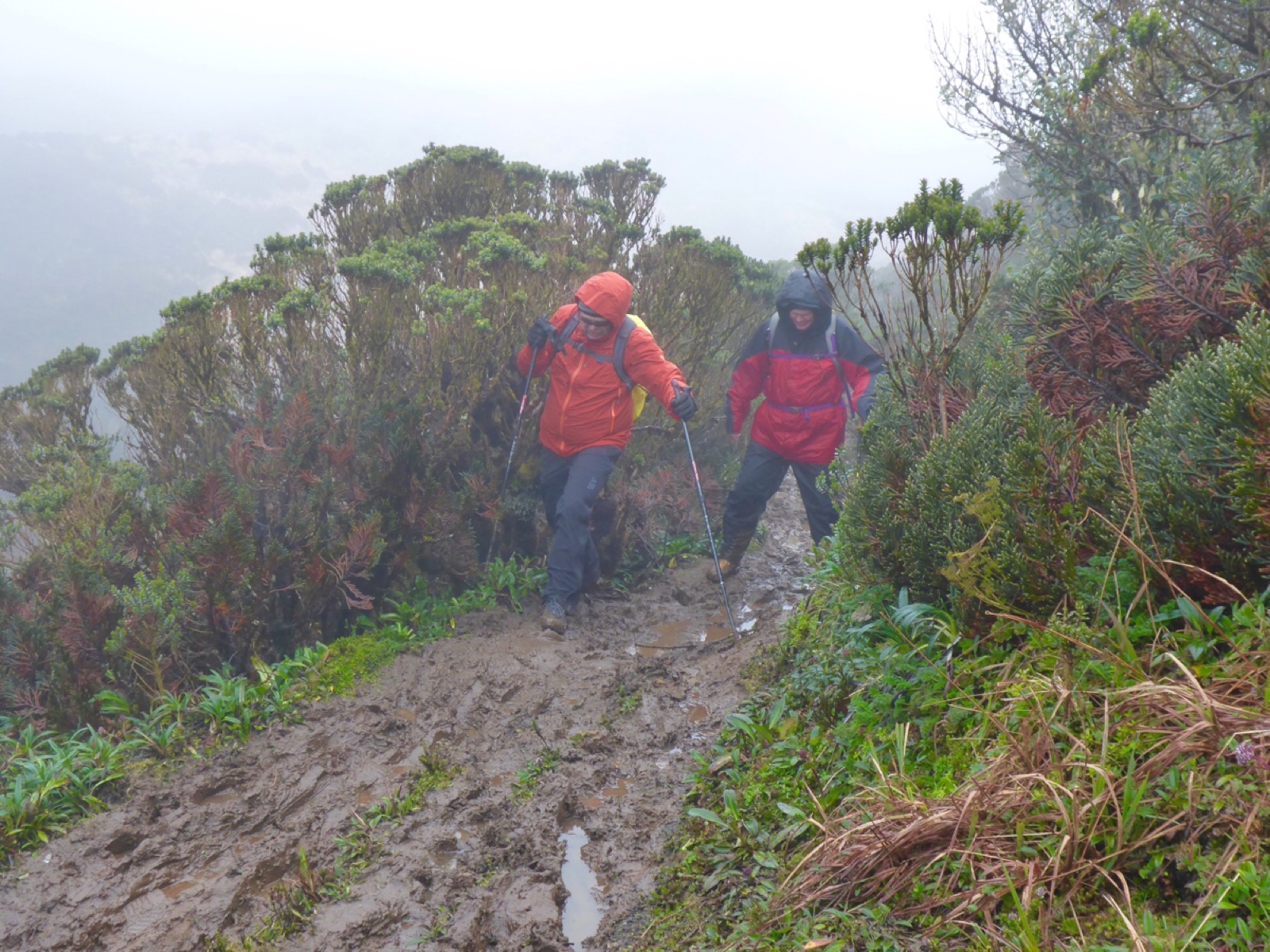 Glenn trying to make his way through the mud.