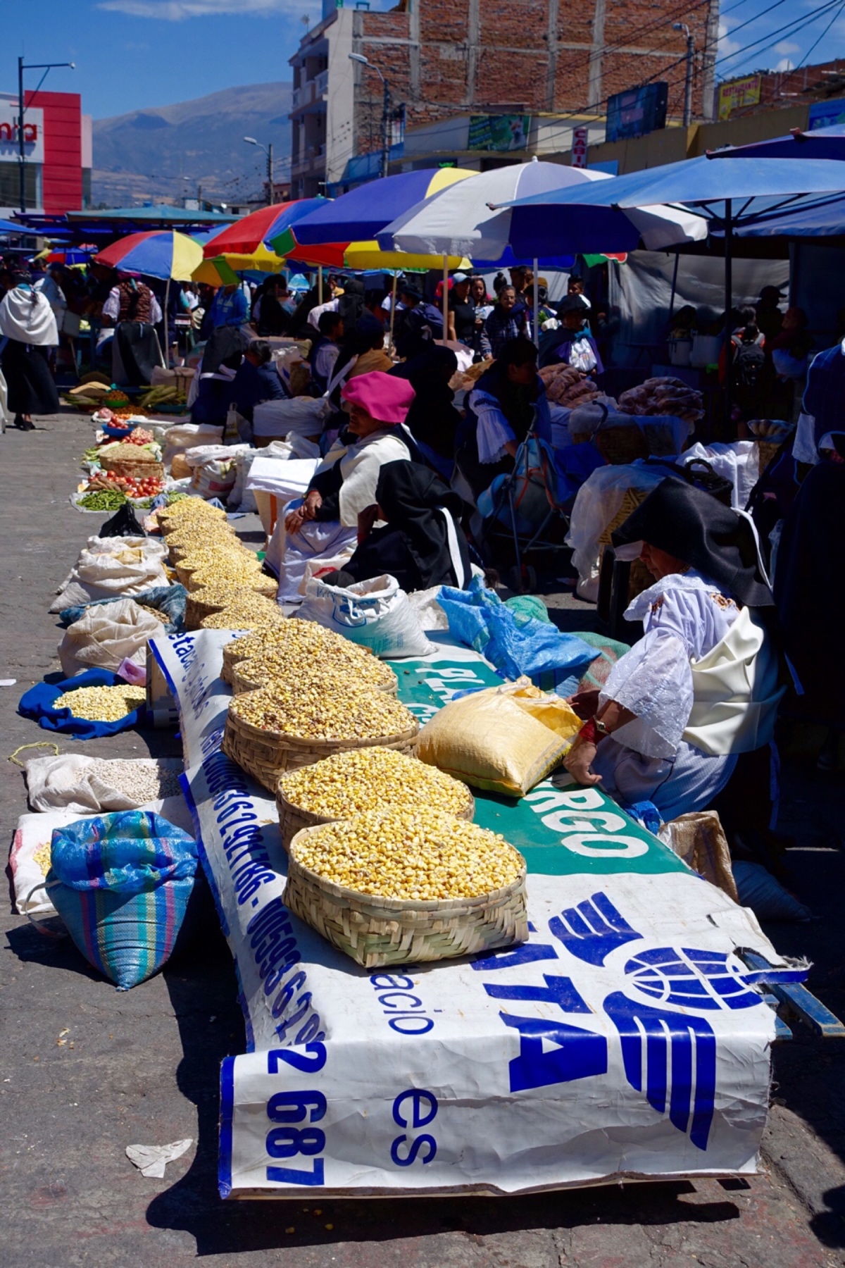Families selling food stuffs like corn and quinoa at the open market in Ecuador.