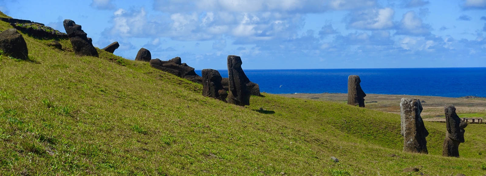 Unfinished moai, frozen forever at the quarry.
