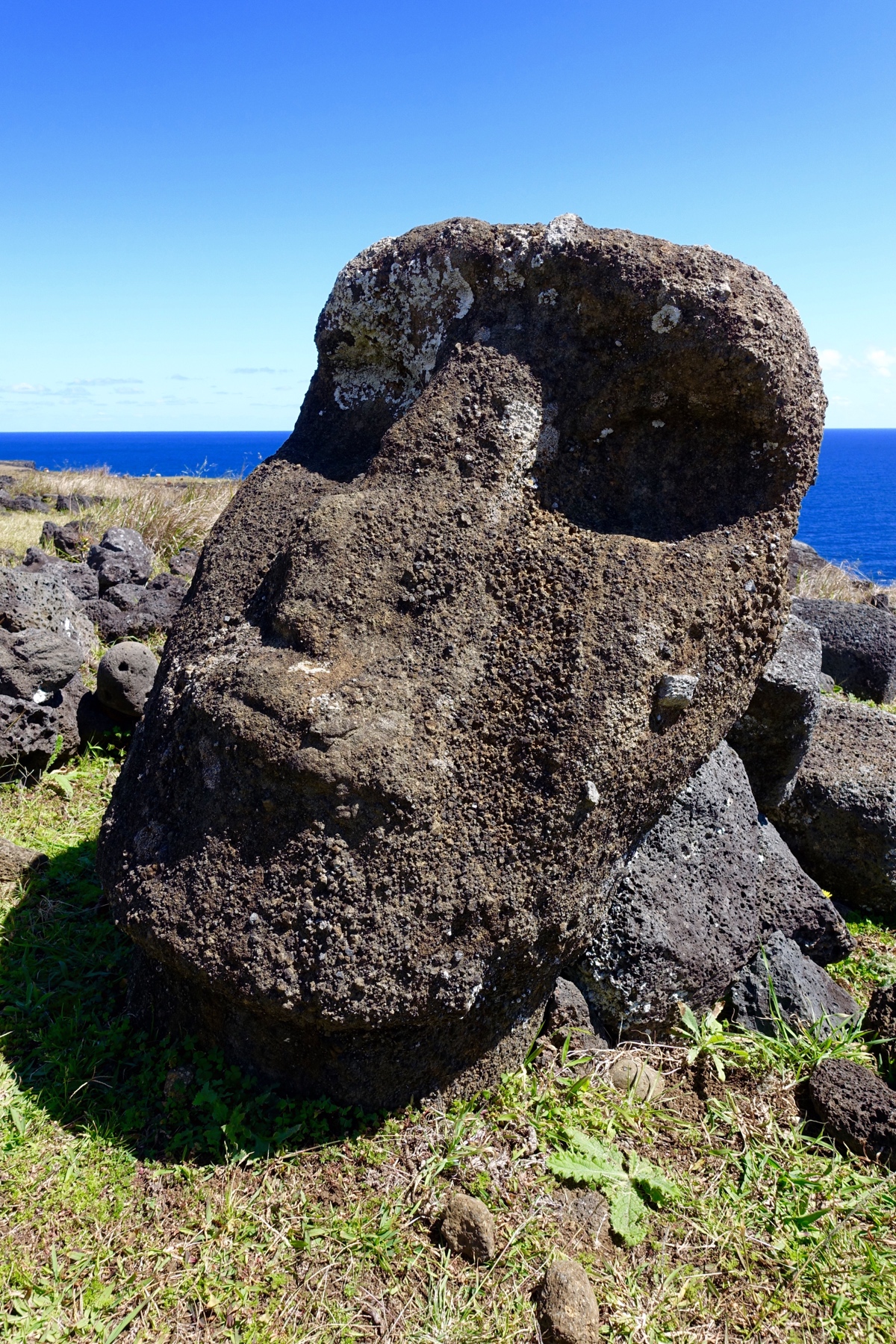 A disembodied head, left to the elements on Easter Island