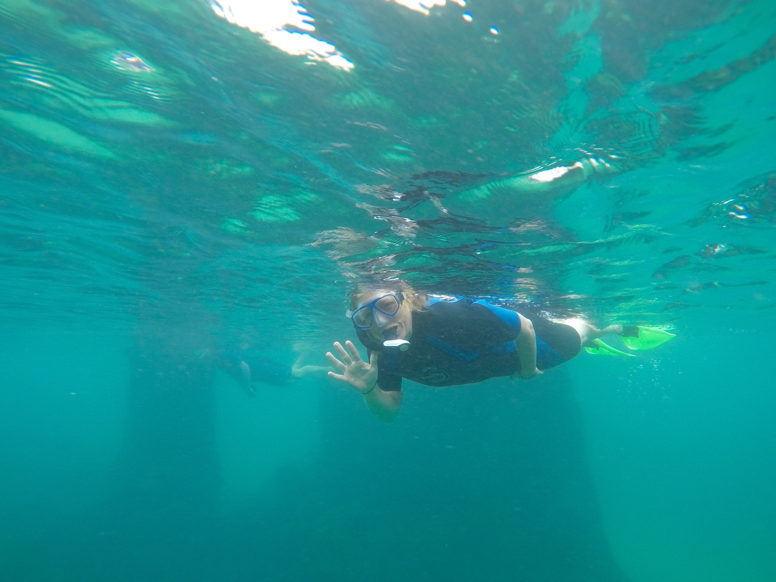 snorkeling in the Galapagos