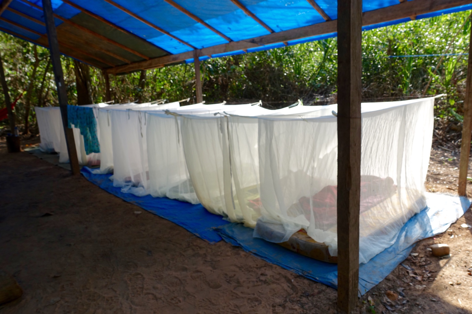 camping in the Amazon jungle