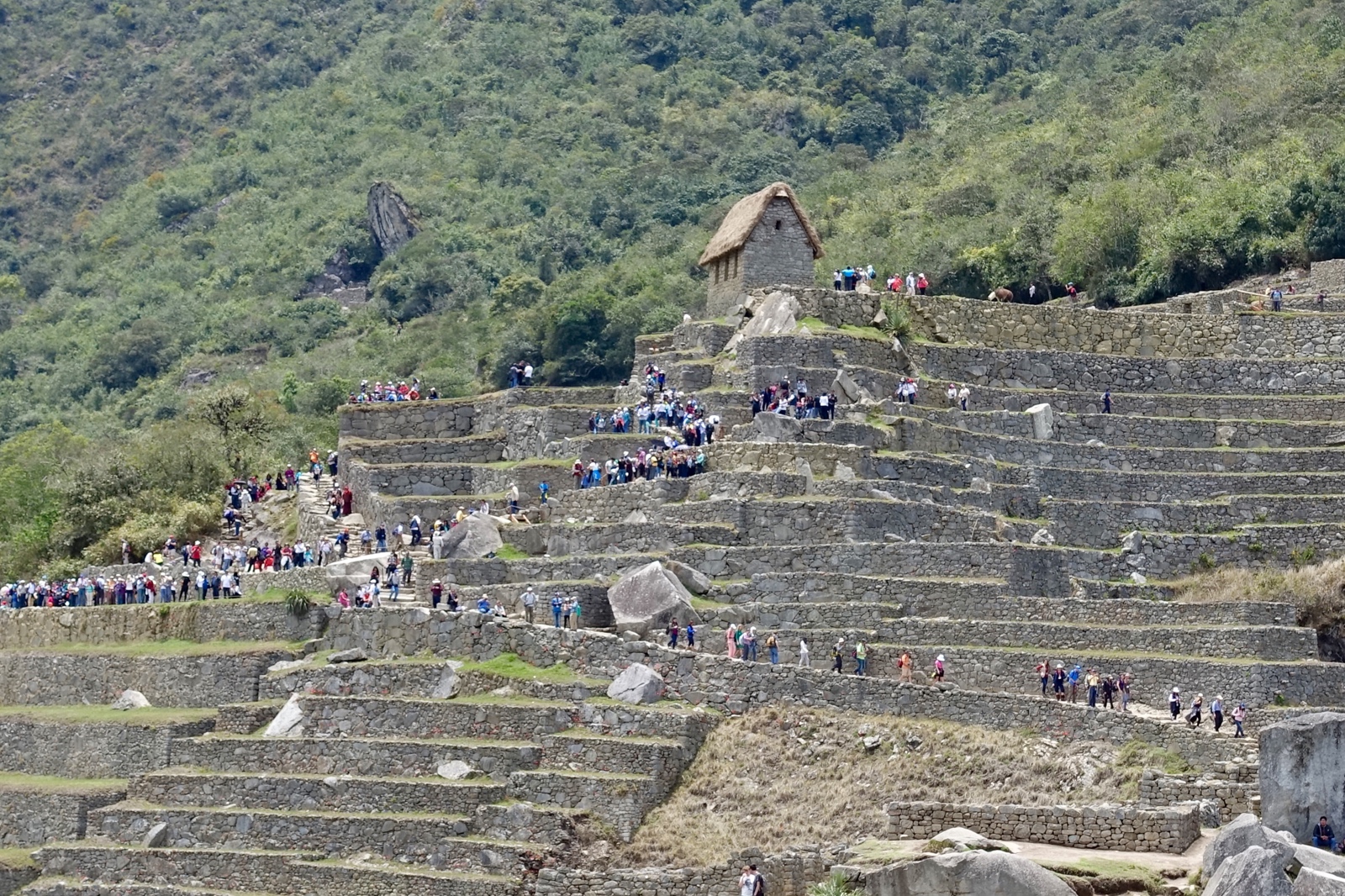 Arriving at Machu Picchu 