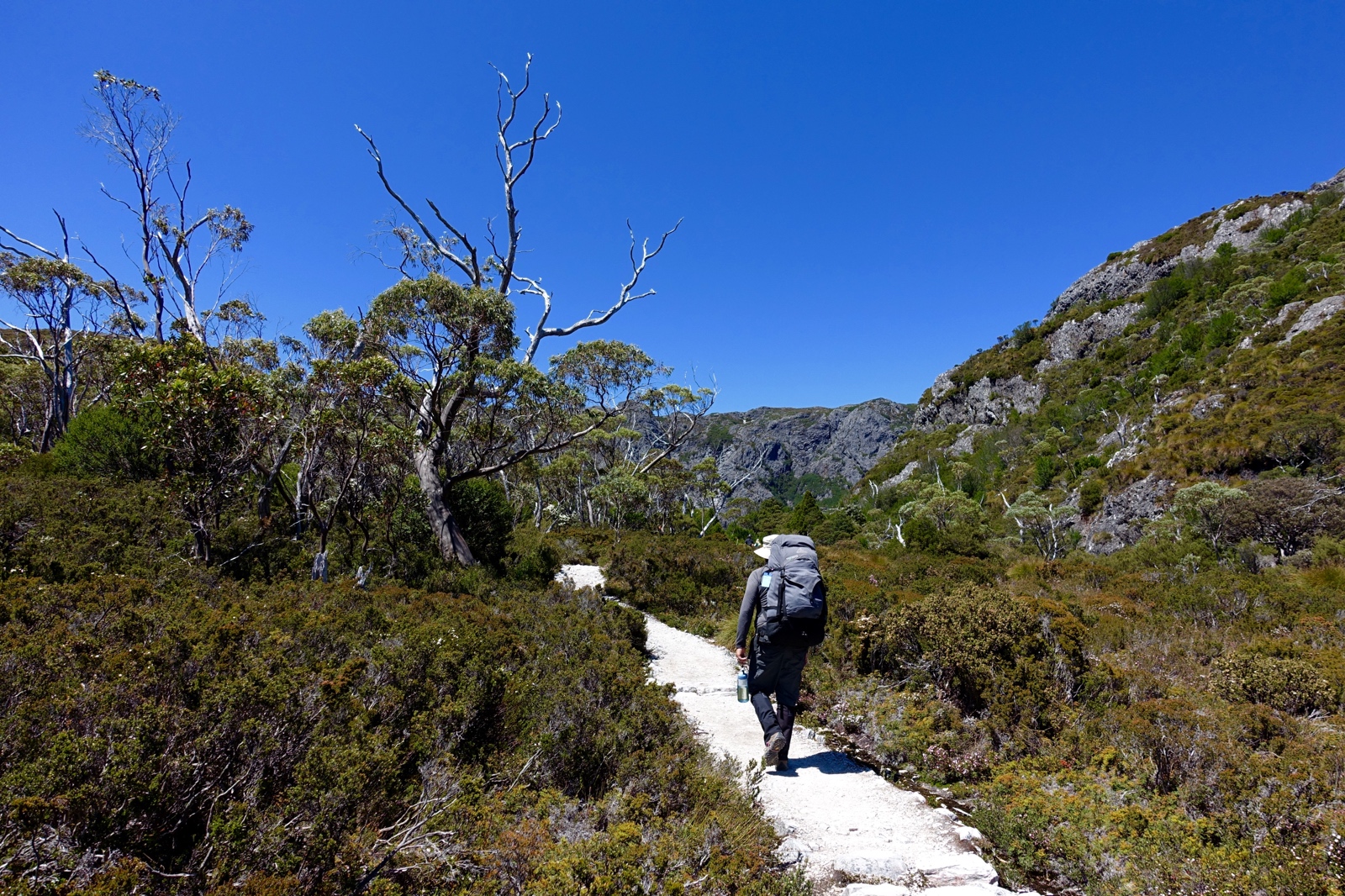 backpacking Overland Track, Tasmania