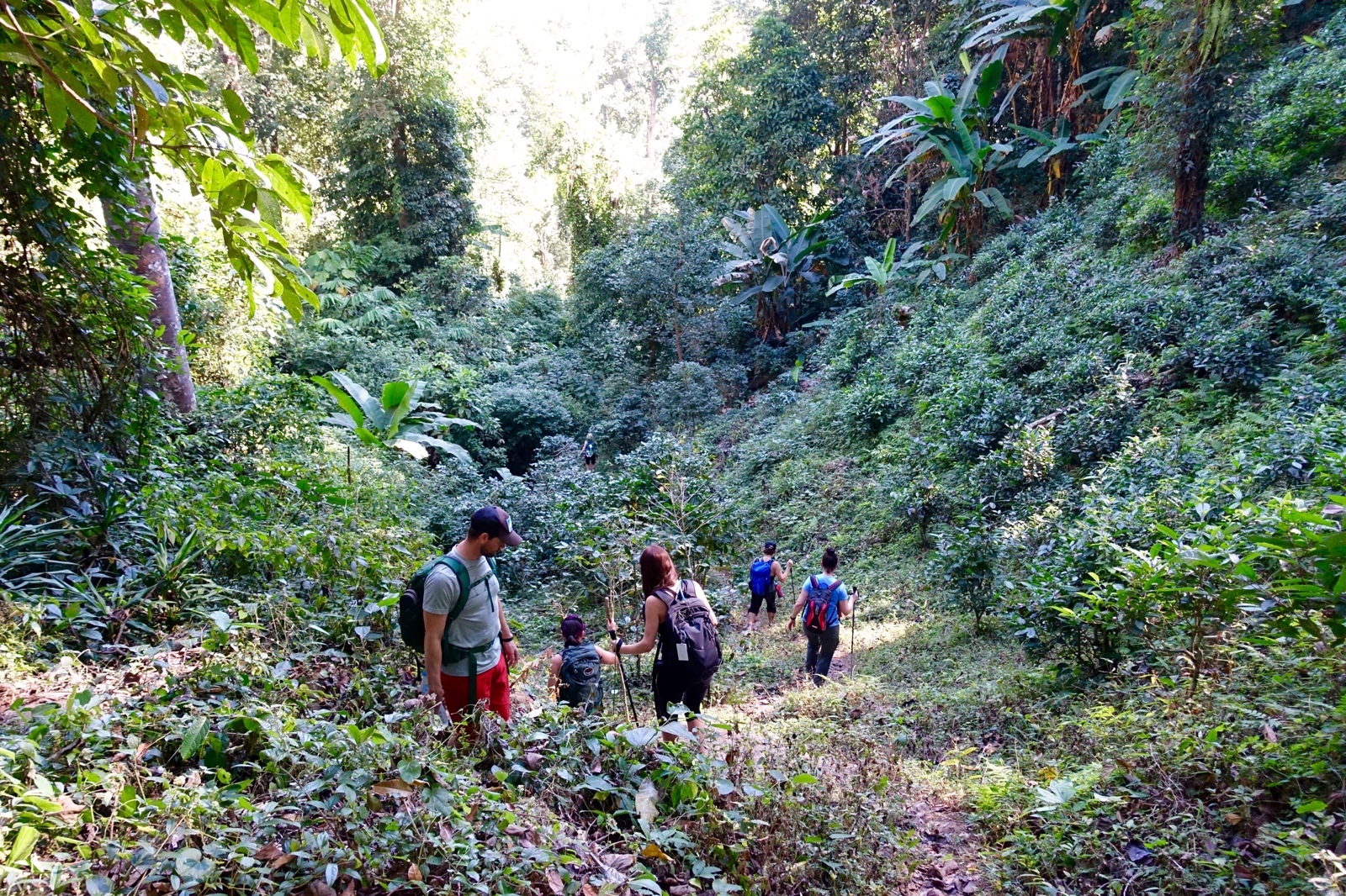 Thailand - Hilltribes
