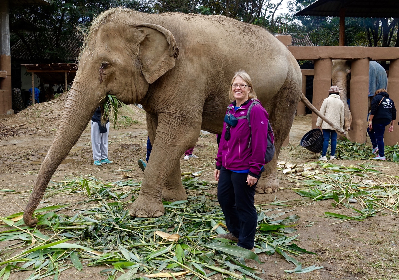 Lucky - my favorite elephant at the park