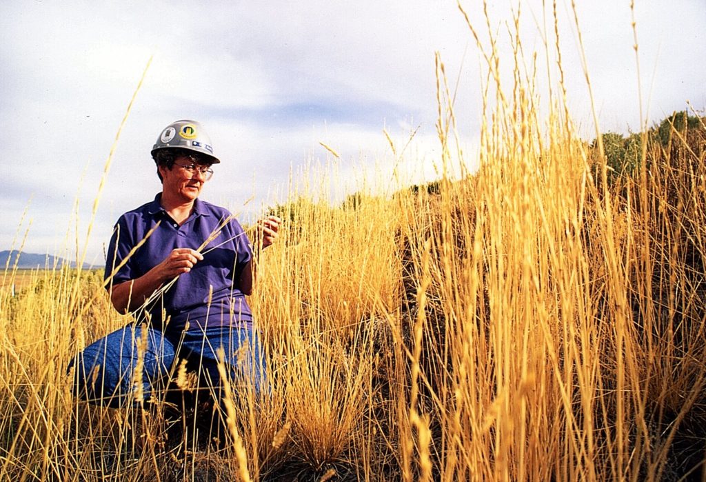 My mom, blazing a trail for women in a male-dominated career field.