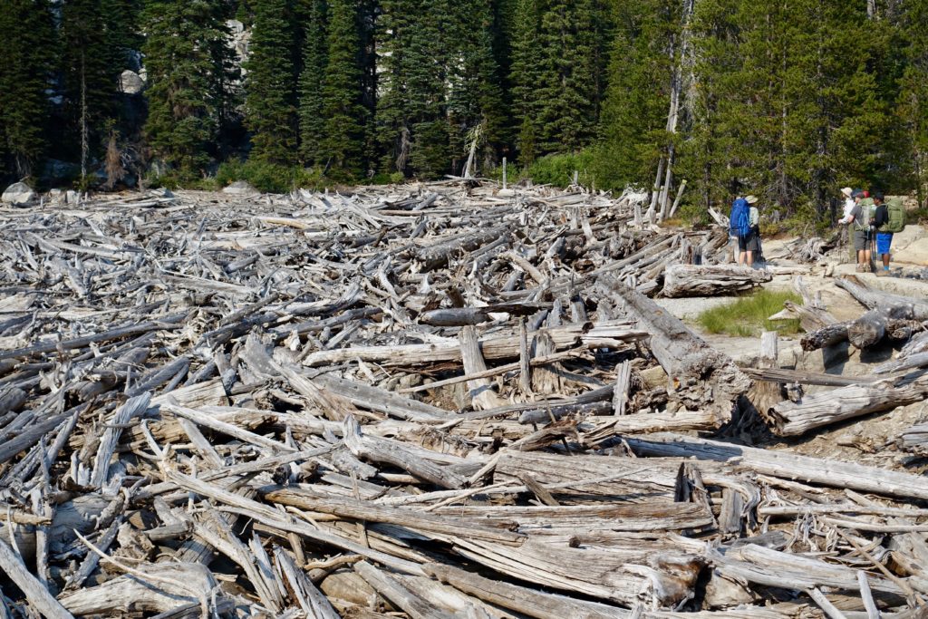 Log jam at the dam end of Upper Snow Lake.