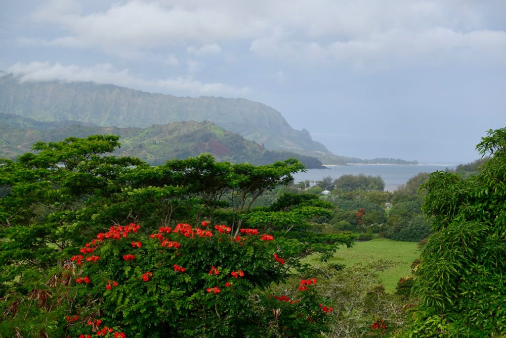 The beautiful island of Kauai and it's rugged coastline
