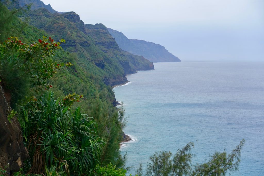 View of the Hawaii coastline