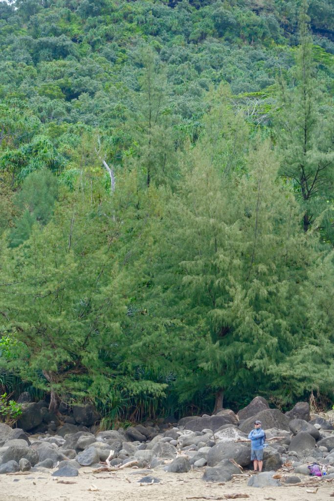 Glenn taking in the view at Hanakapi'ai Beach...before we have to hike back up that hill behind him!