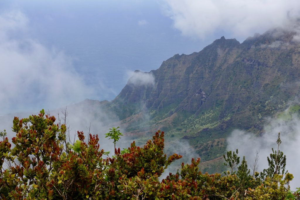 The clouds below parted for just a minute or two, revealing this amazing view.
