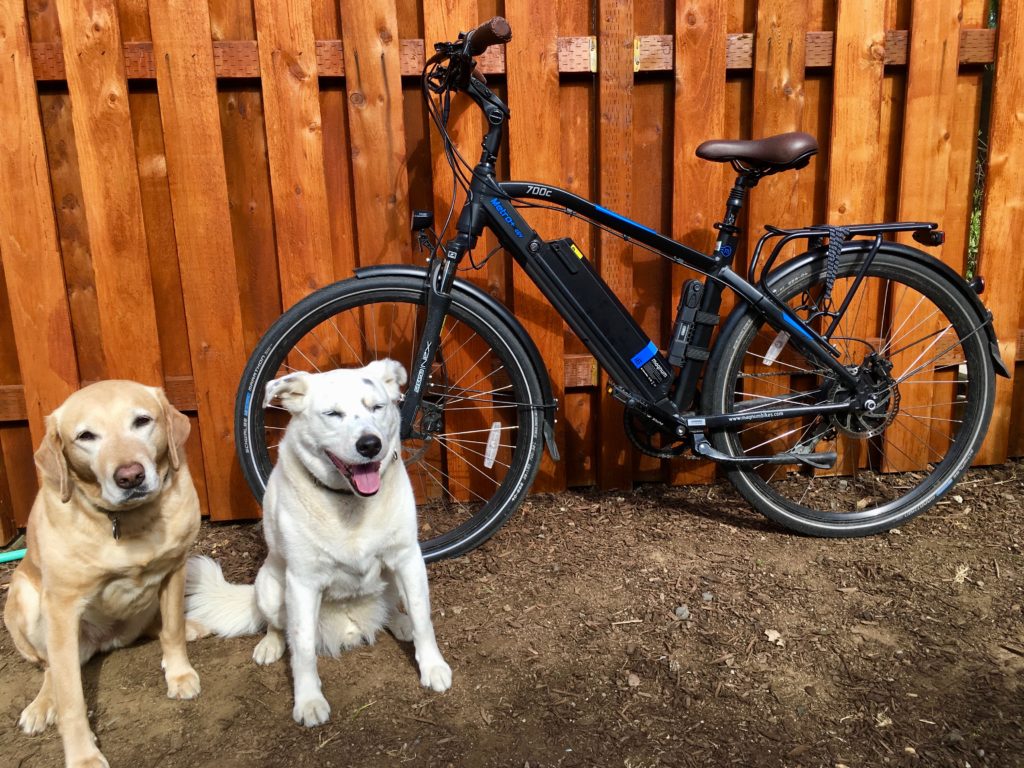 My new electric biek