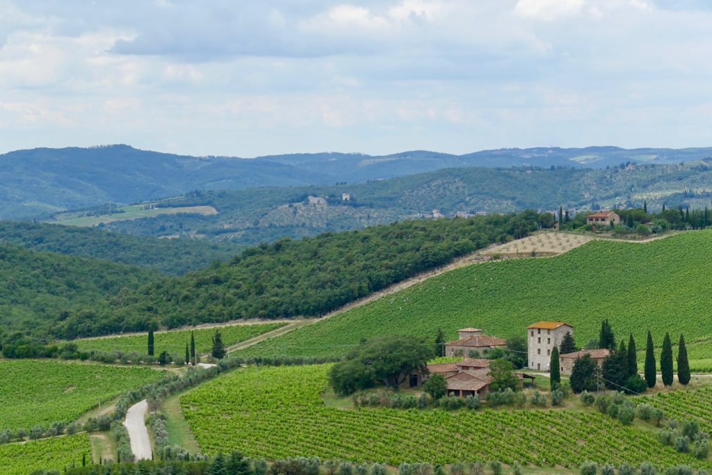 One of the countless beautiful vistas Tuscany offers visitors.