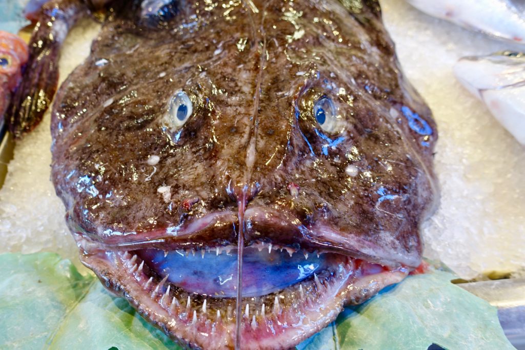 Large fish head at the fish market