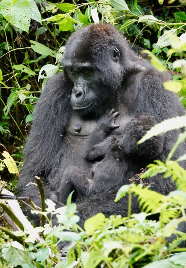 Mama, with baby breastfeeding. Such a special thing to witness.