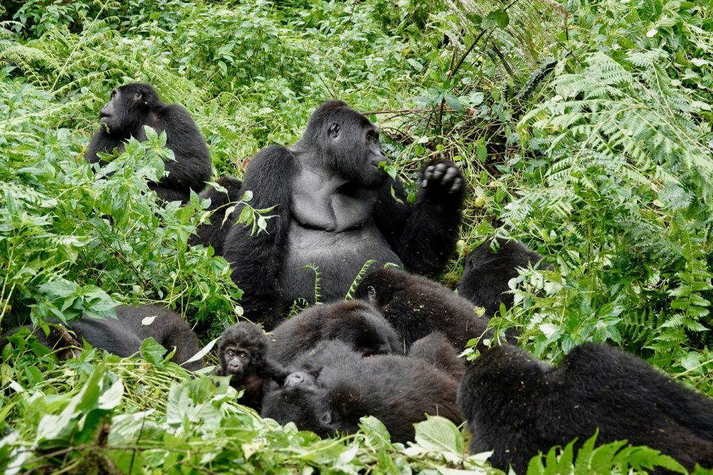 Bahati in the middle, surrounded by his family, including the new little baby.