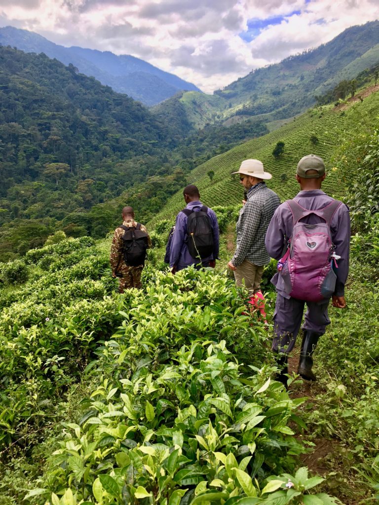 Hiking down, down, down.