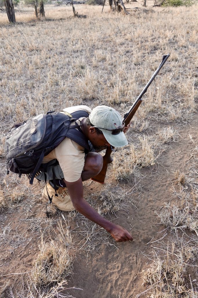 Douglas teaching us how to tell the difference between leopard, lion and hyena prints.