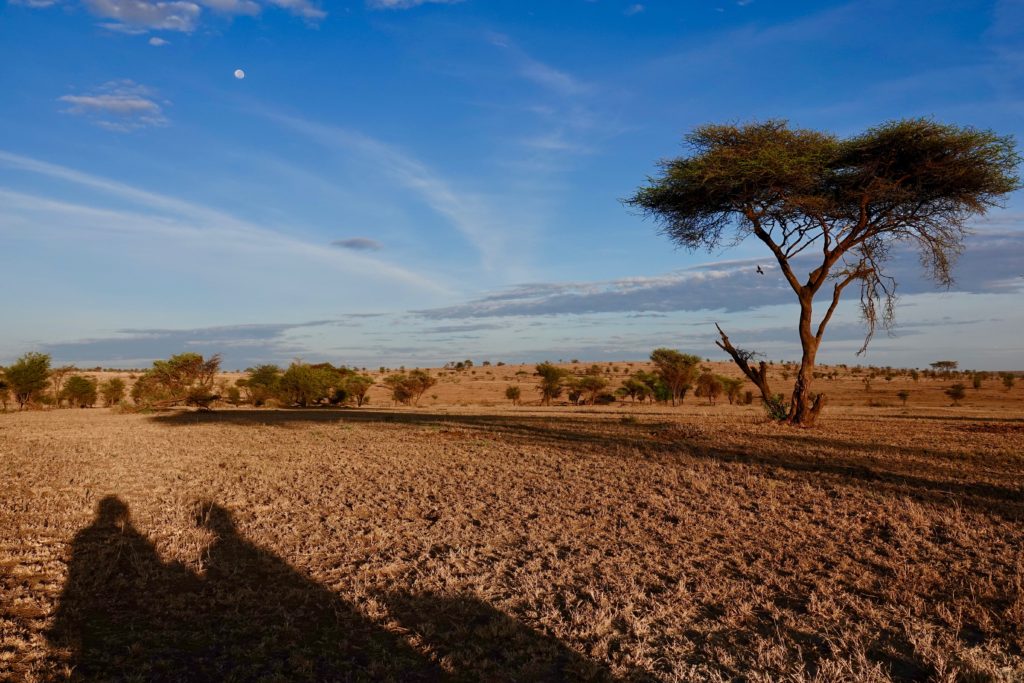 Early mornings around camp...our shadows long with the rising sun