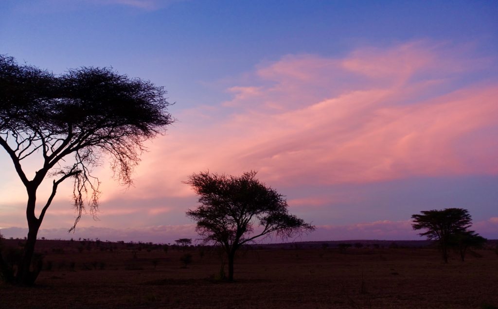 Spectacular sunsets.