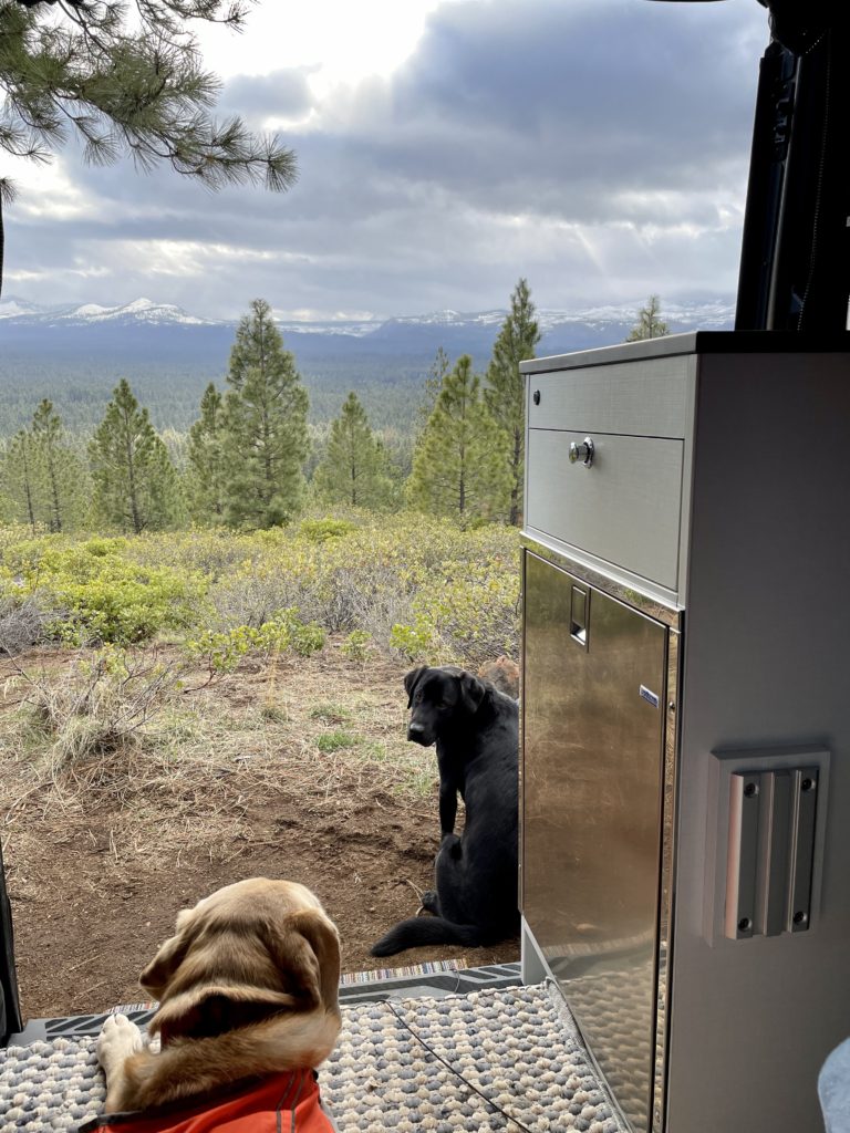 The view outside of our campervan