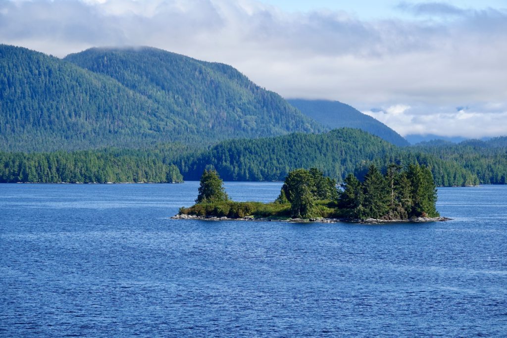 Views of gorgeous fjords and forested islands.