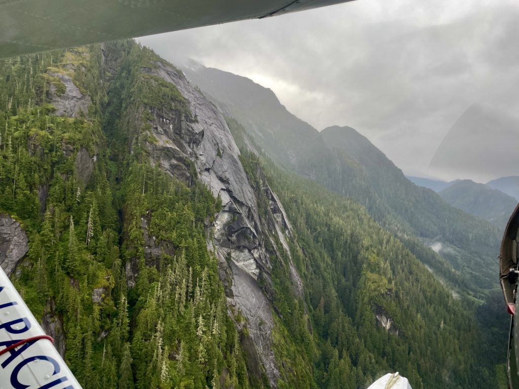 Beautiful view of the wilderness from the plane.