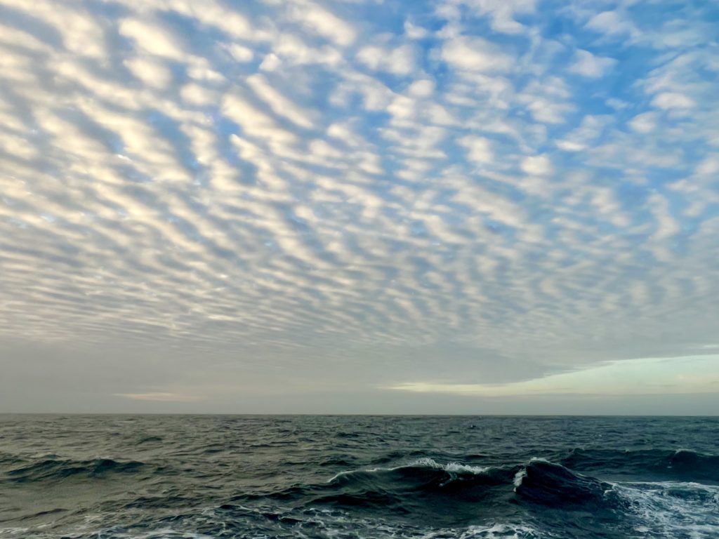 The fog cleared and we could start to see blue sky and little flickering glimpses of the sun low on the horizon.