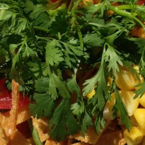 Learning to love healthier food  