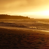 Rain, rain…go away! (New Zealand Part 3: West Coast, Kaikoura and Wellington)