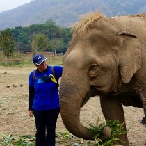 Gentle Giants: Visiting Thailand’s Elephants