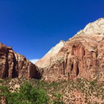 My trip around the sun.