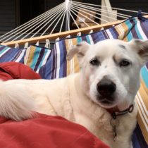 Creating a “new normal”